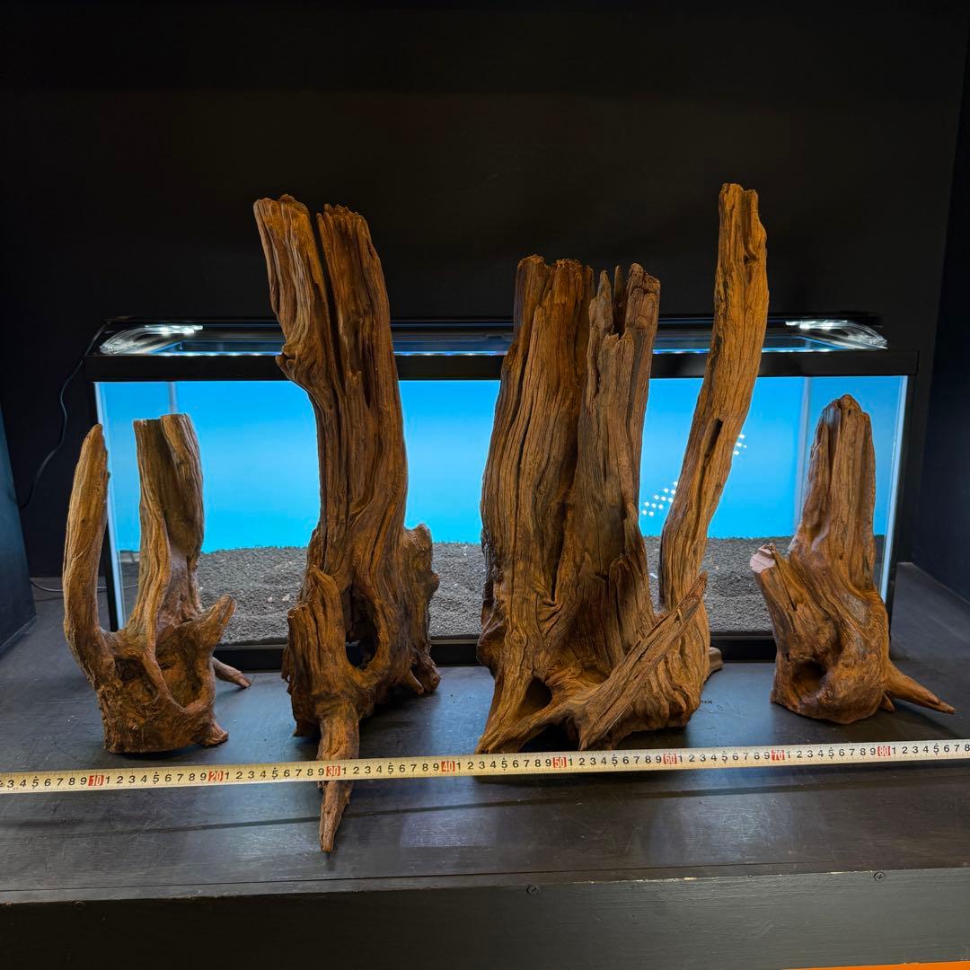 MRW-6798 赤系流木4本セット　90cm水槽用　切株　一点物　アクアリウム