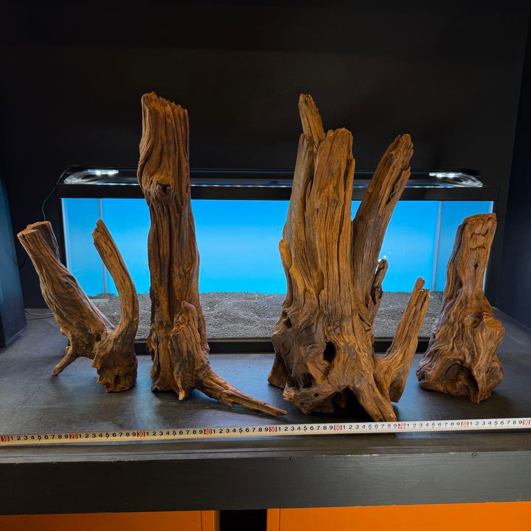 MRW-6798 赤系流木4本セット　90cm水槽用　切株　一点物　アクアリウム