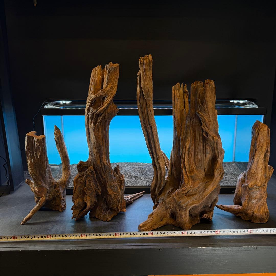 MRW-6798 赤系流木4本セット　90cm水槽用　切株　一点物　アクアリウム