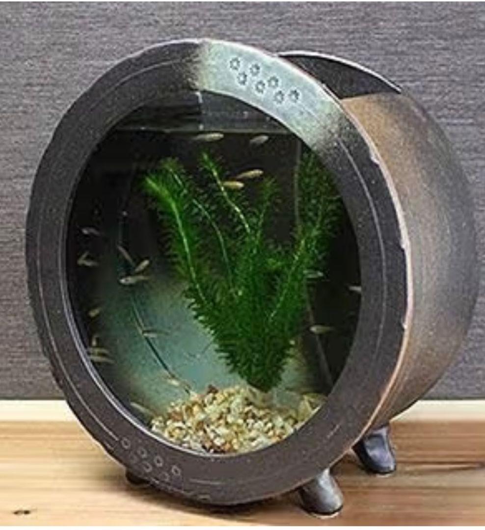 メダカ鉢 円形 黒色