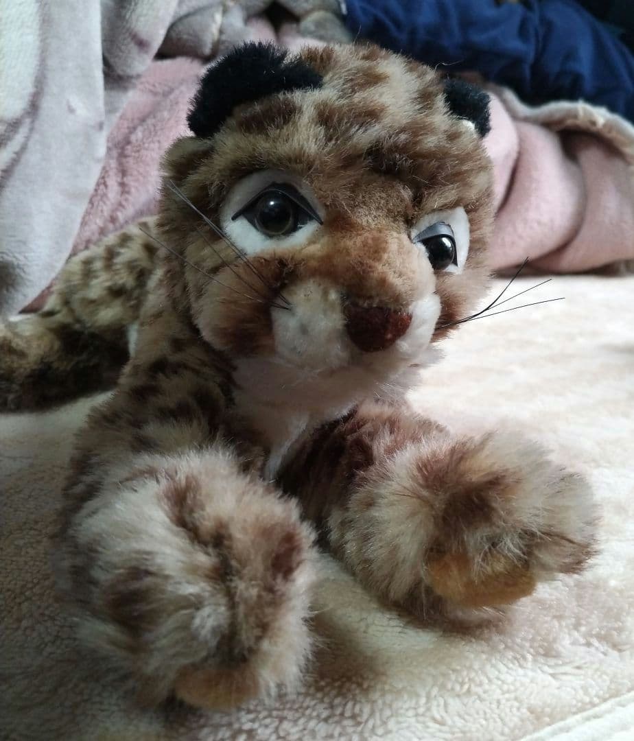 Piutre ヒョウの子供