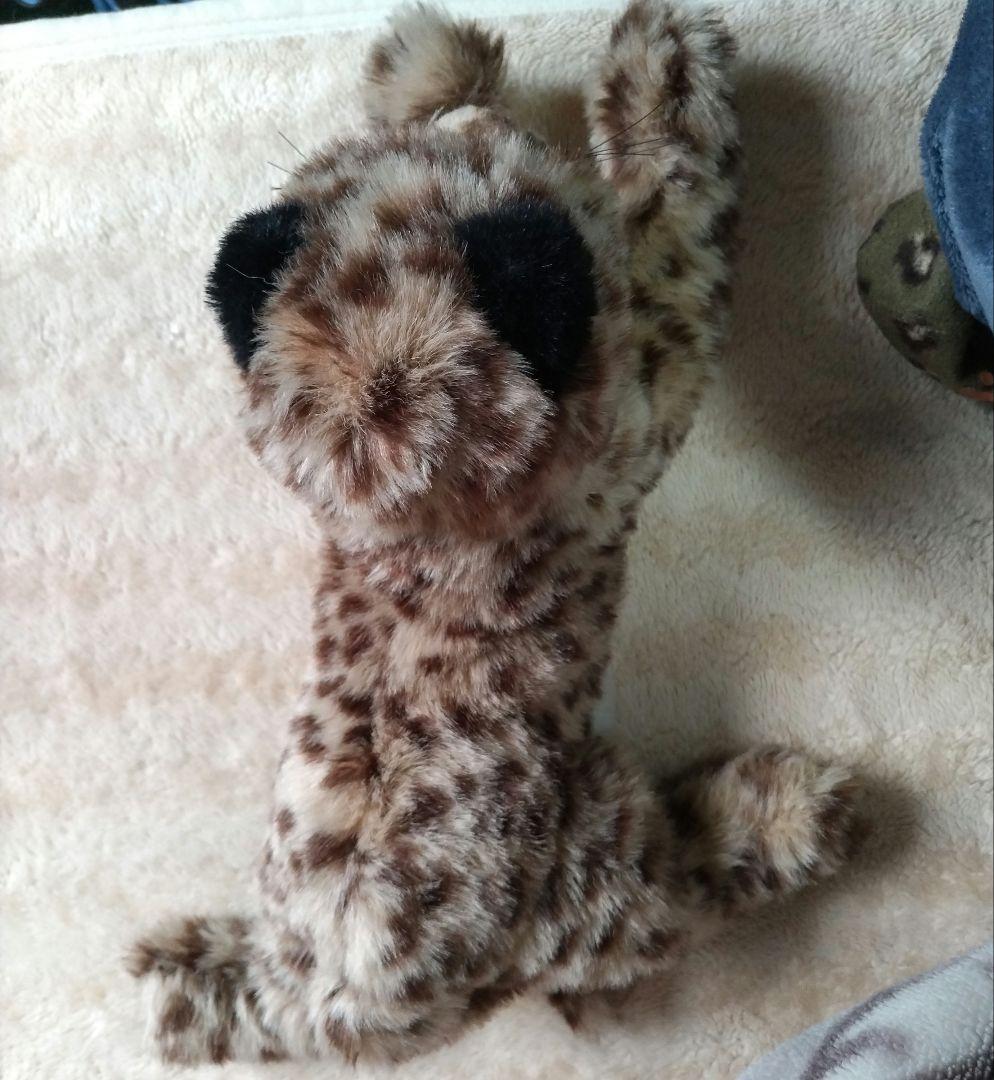 Piutre ヒョウの子供