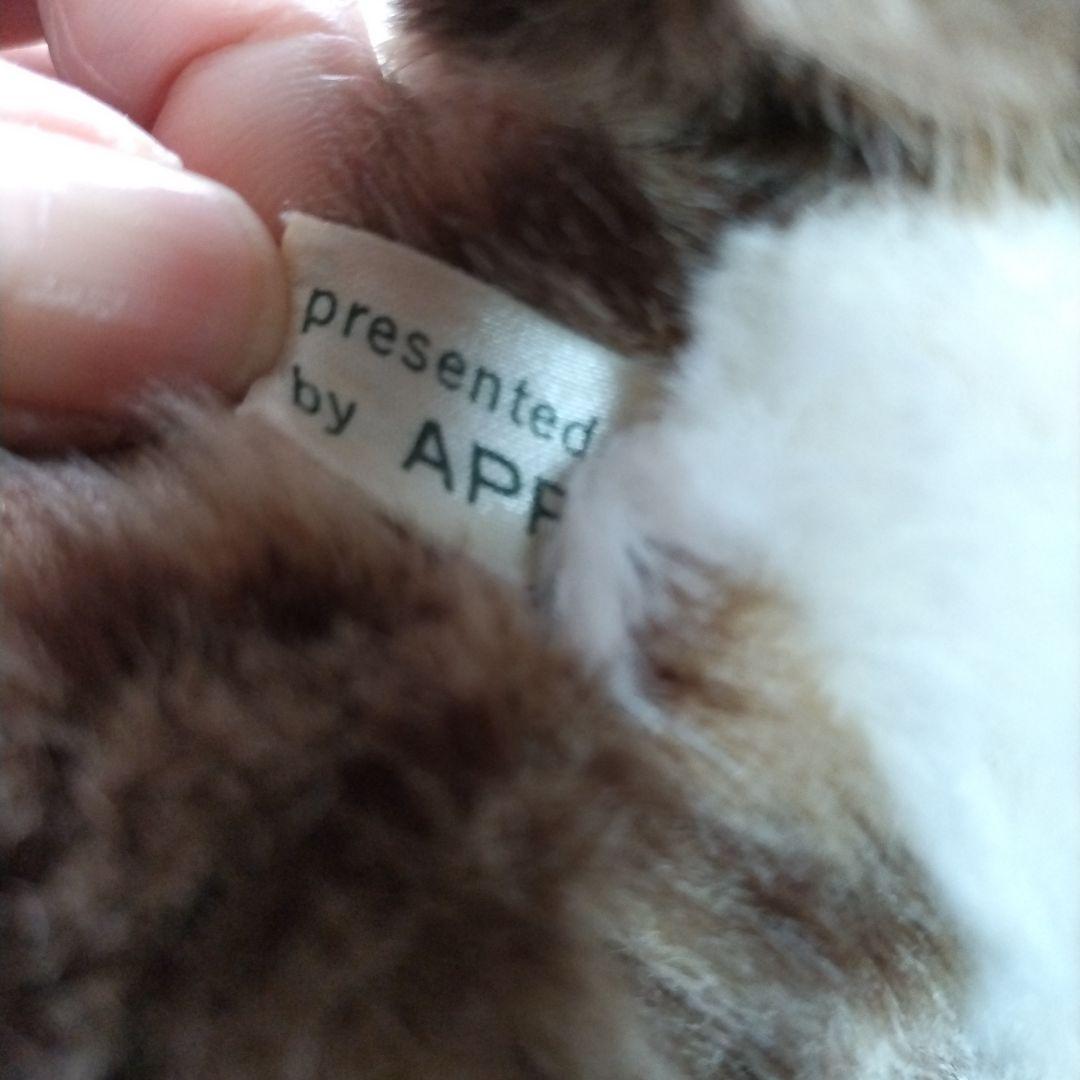 Piutre ヒョウの子供