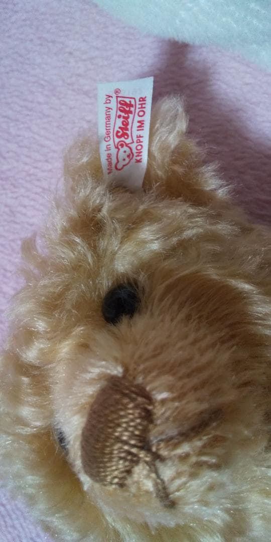 限定 steiff ぬいぐるみ teddy bear 2005 専用袋あり