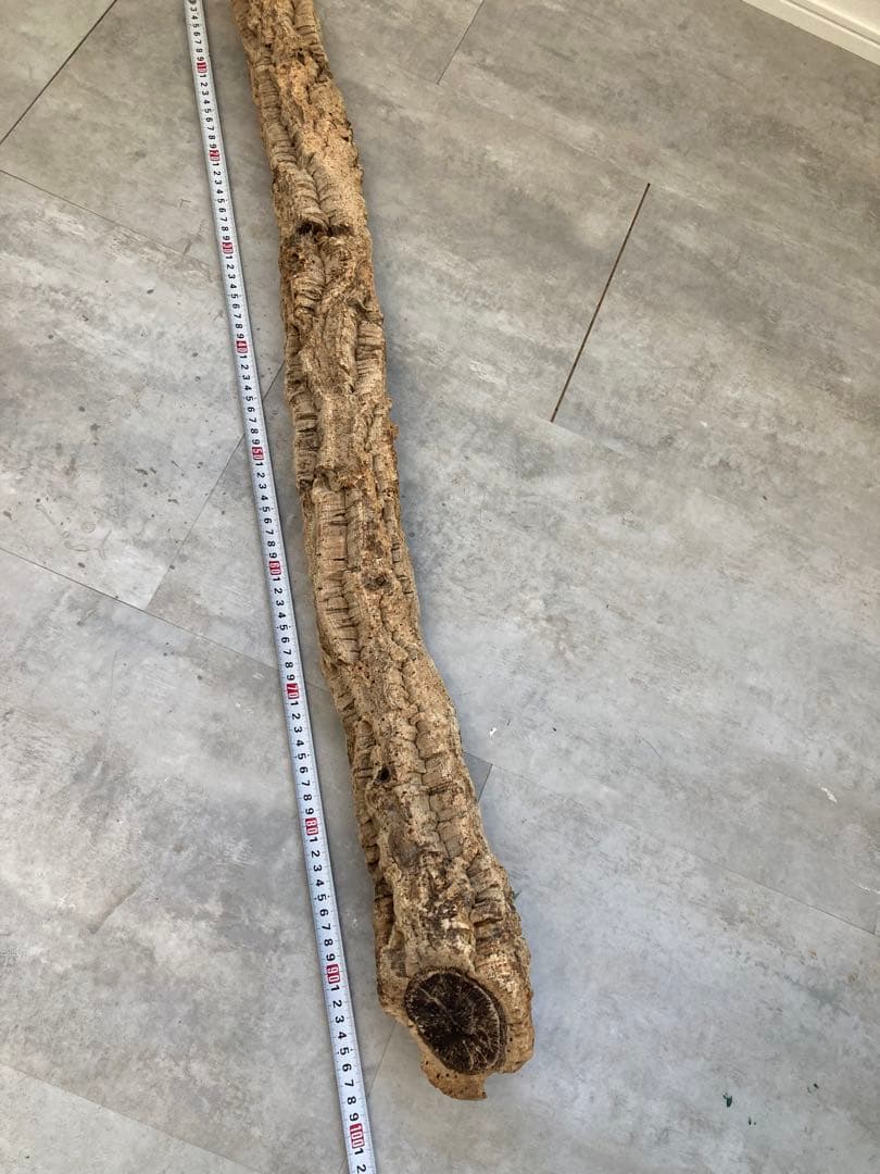 爬虫類飼育セット 90x45x60グラステラリウム 爬虫類ケージ GEX