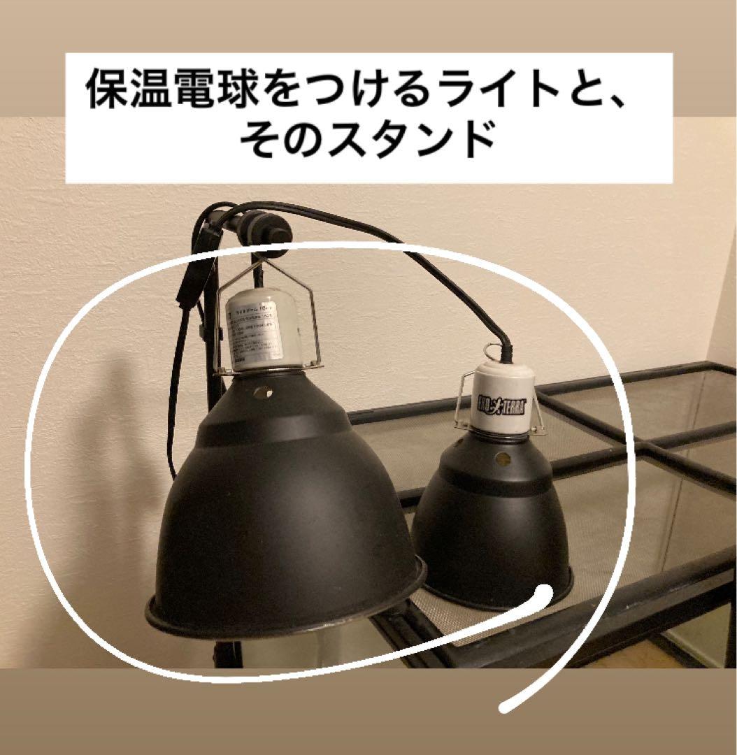 爬虫類飼育セット 90x45x60グラステラリウム 爬虫類ケージ GEX