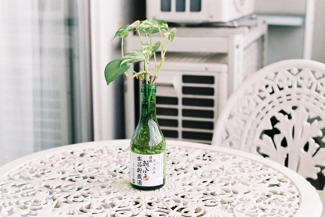 分解清掃実写済み Pentax SPF (F/1.8 55mm 標準レンズ付)