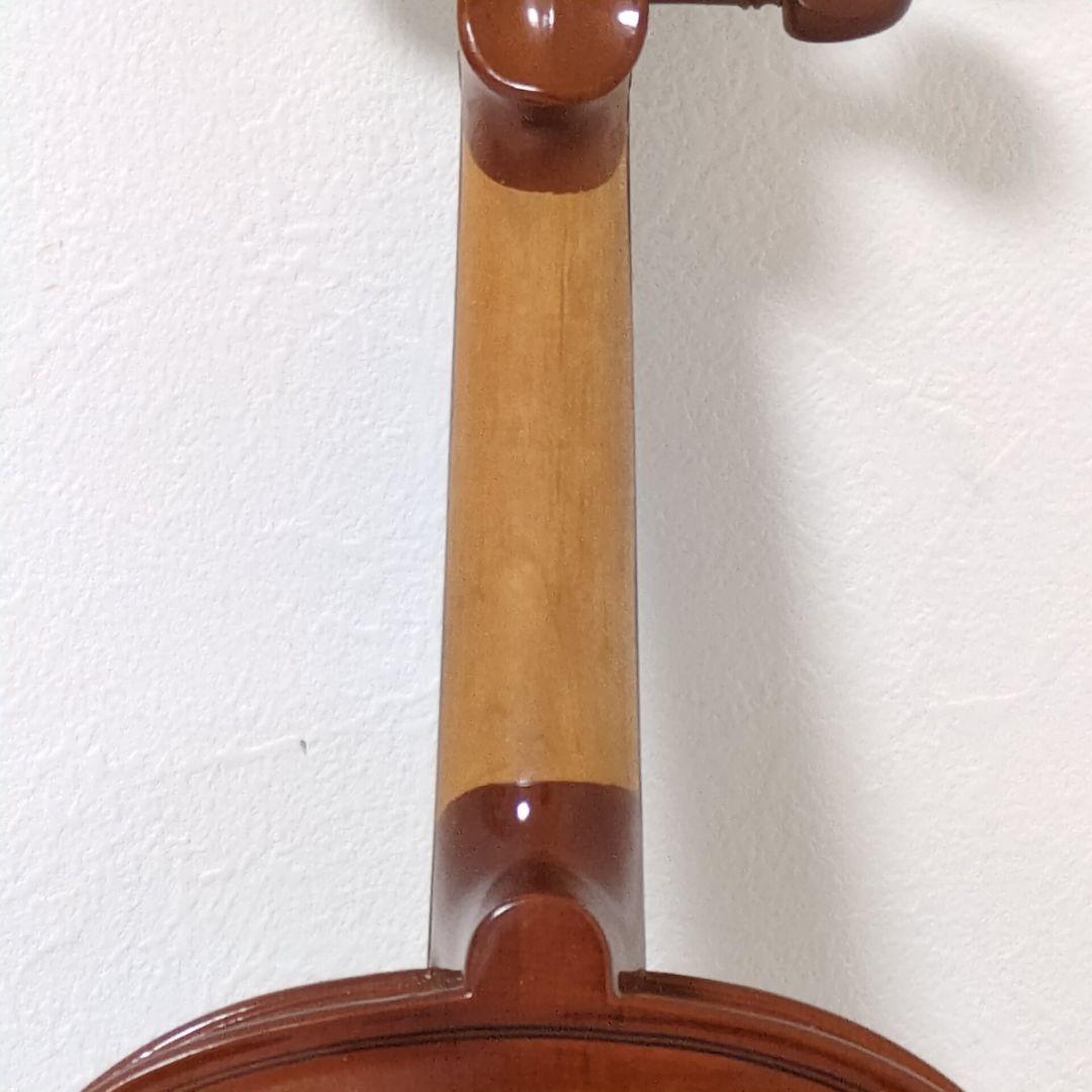 Carlo giordano EV-202 カルロジョルダーノ エレキバイオリン