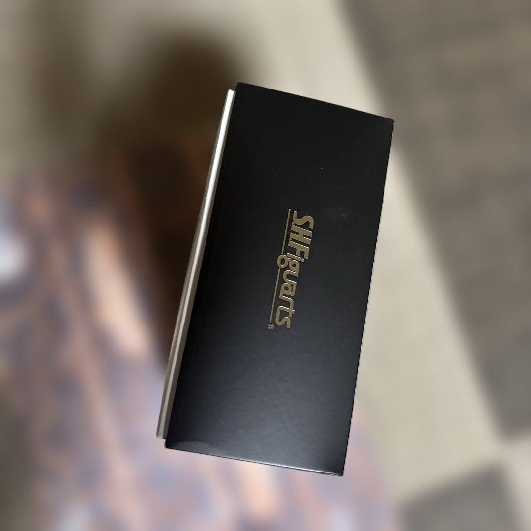 S.H.Figuarts（真骨彫製法） 仮面ライダー龍騎