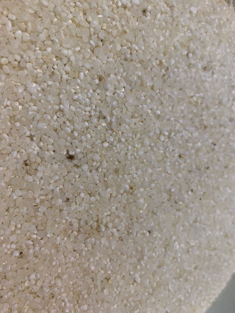 砕米　25キロ　白米　令和6年産