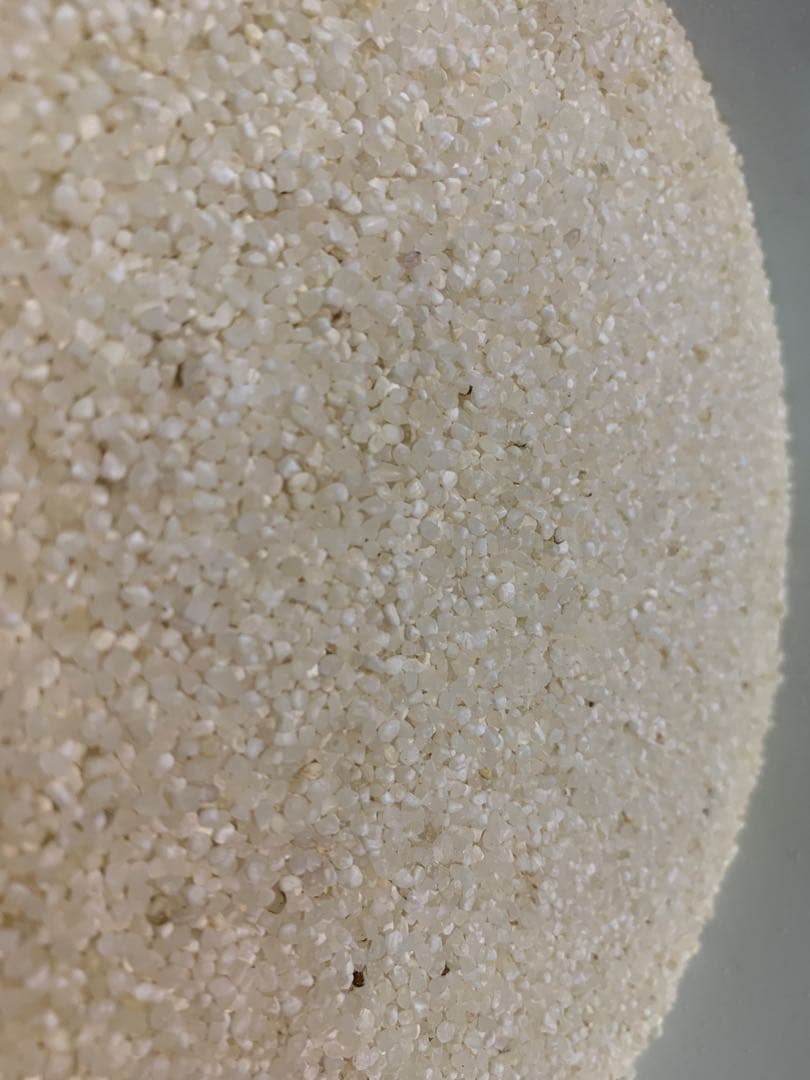 砕米　25キロ　白米　令和6年産