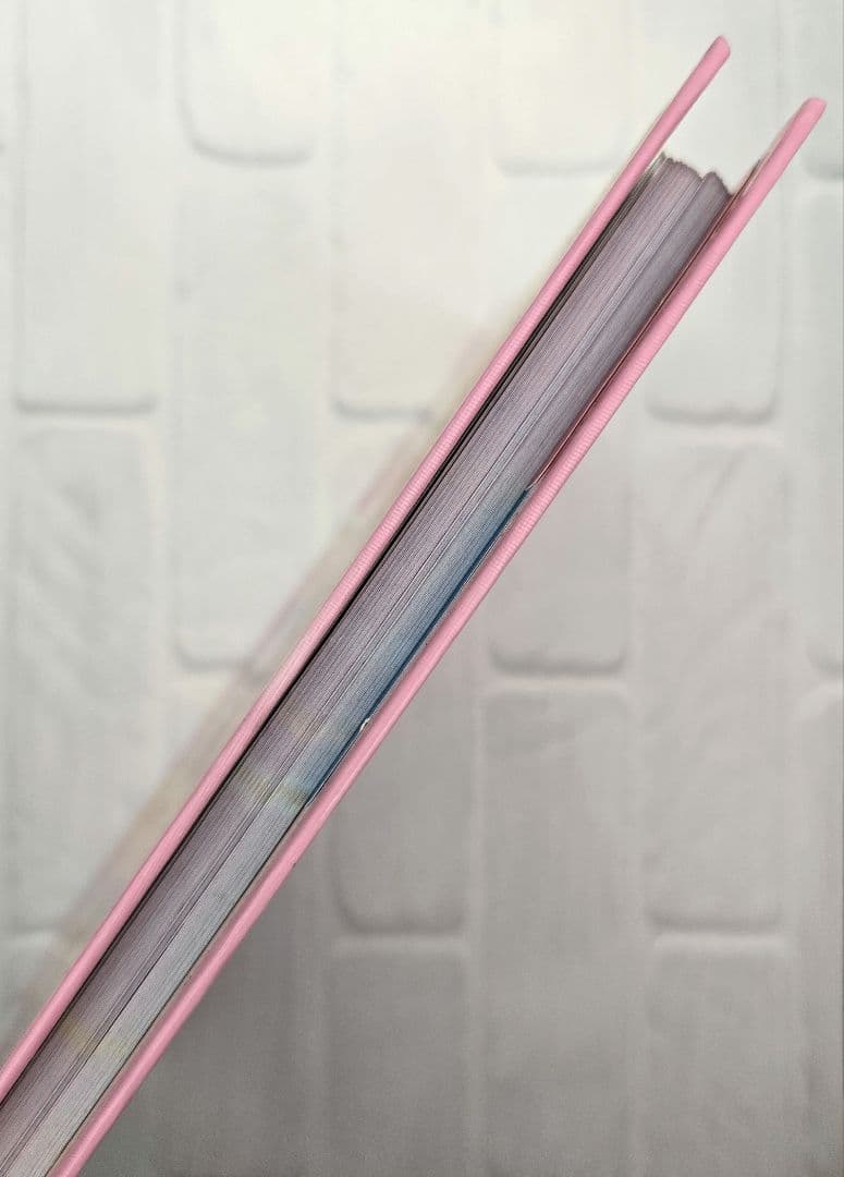 激レア！平成 レトロ ハッピースイートハウス プロフィール帳 クラックス