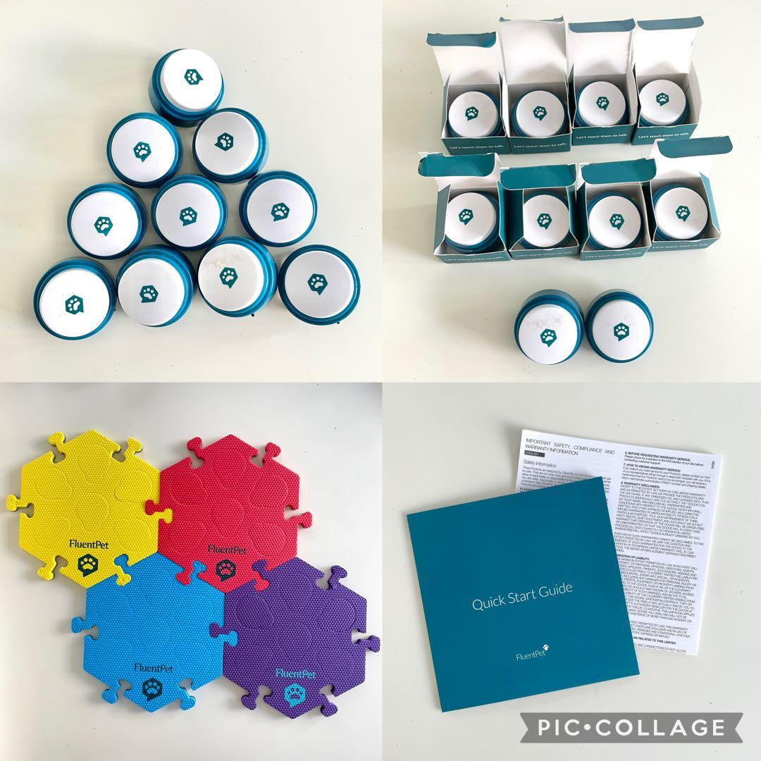 FluentPet 会話　ペット　犬　しつけ　フルーエントペット