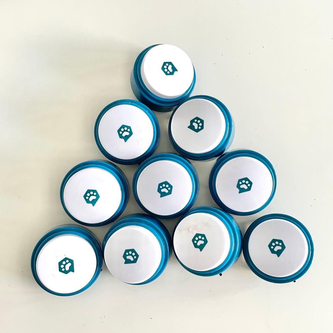 FluentPet 会話　ペット　犬　しつけ　フルーエントペット