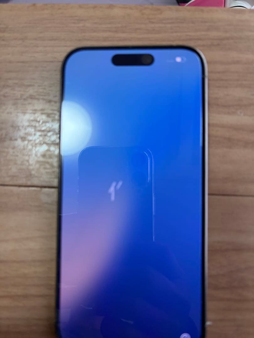 Apple iPhone 15 Pro シルバー 本体 箱付き