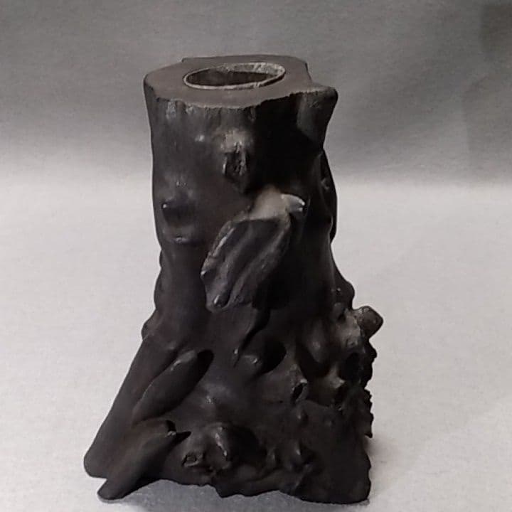 海松　深海松　黒珊瑚