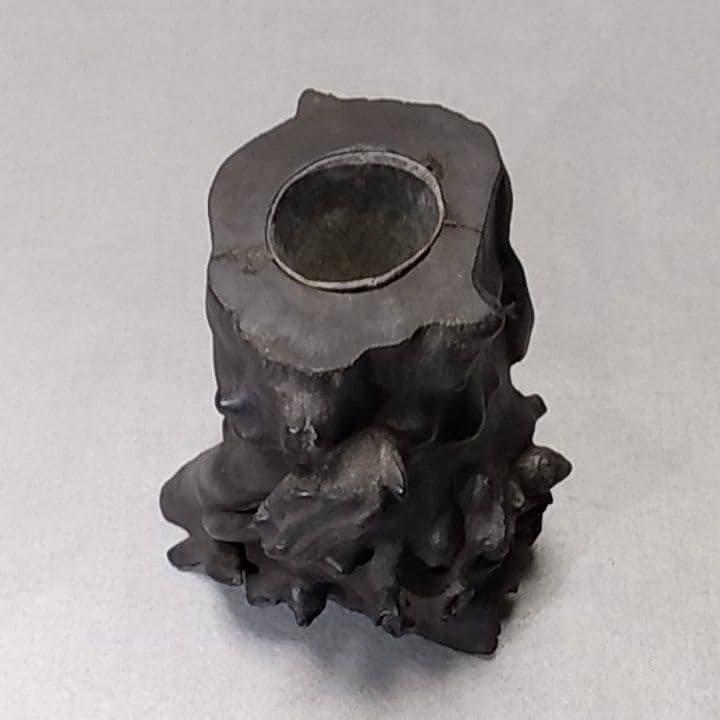 海松　深海松　黒珊瑚