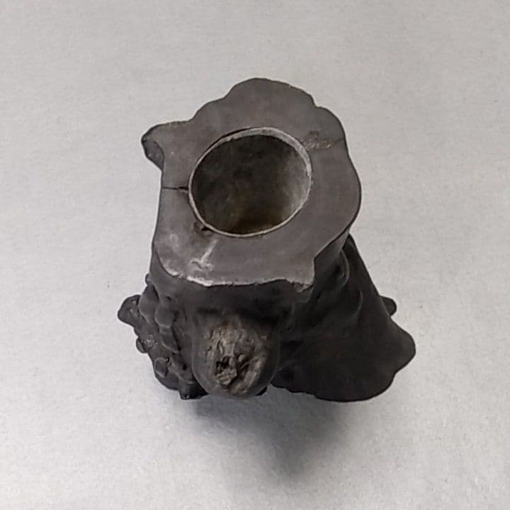 海松　深海松　黒珊瑚