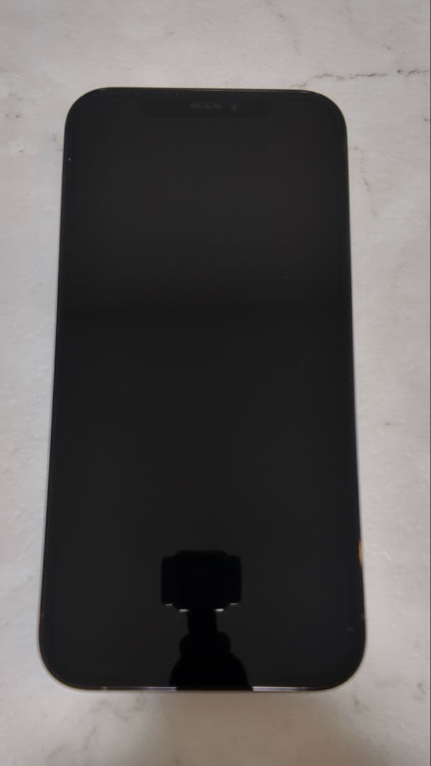 【美品・SIMフリー】iPhone 12 Pro 256GB パシフィックブルー