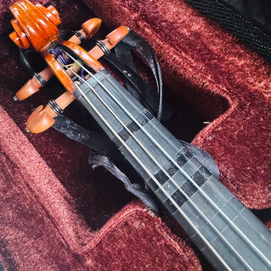 希少虎杢　高級バイオリン　カルロ・ジョルダーノ　1/10弦楽器　音楽