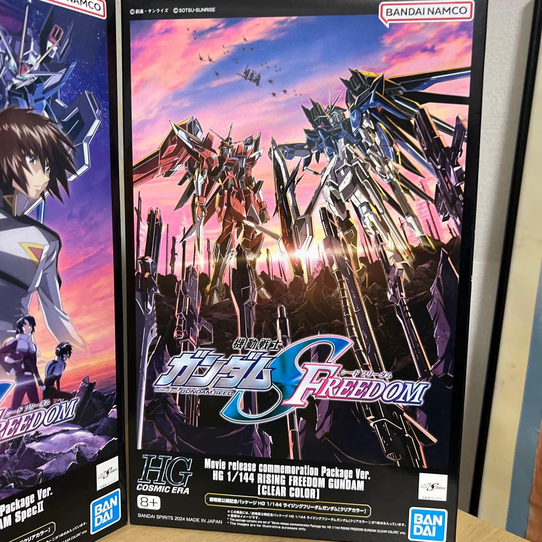 ロボット HG DESTINY GUNDAM & RIGEN FREEDOM GUNDAM