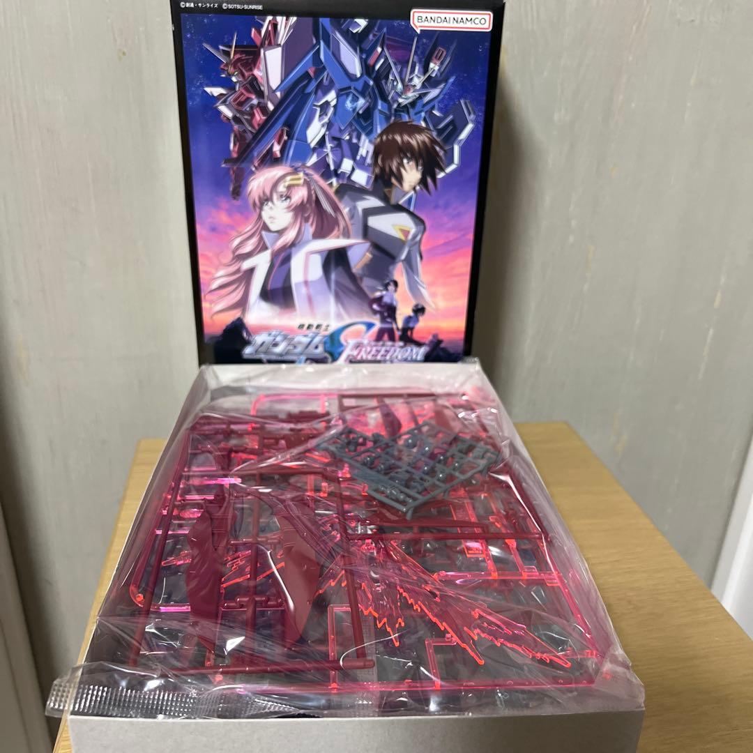 ロボット HG DESTINY GUNDAM & RIGEN FREEDOM GUNDAM