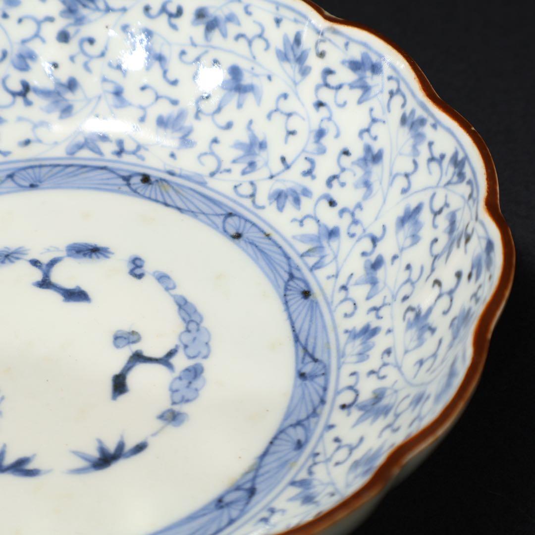 伊万里染付　微塵唐草図なます皿　骨董　古伊万里　R1474B2