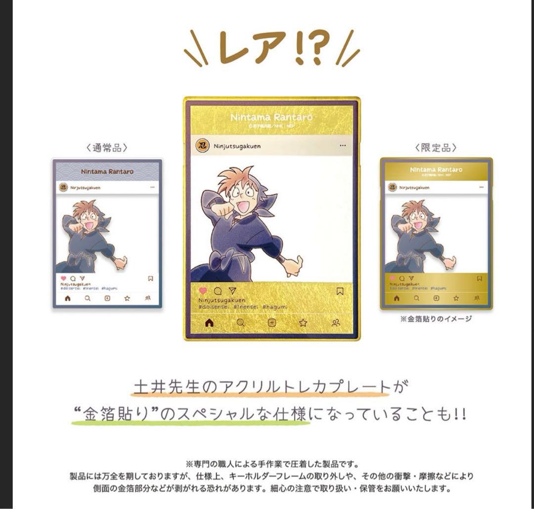 忍たま乱太郎 アクリル トレカプレート インスタ風 土井半助 レア