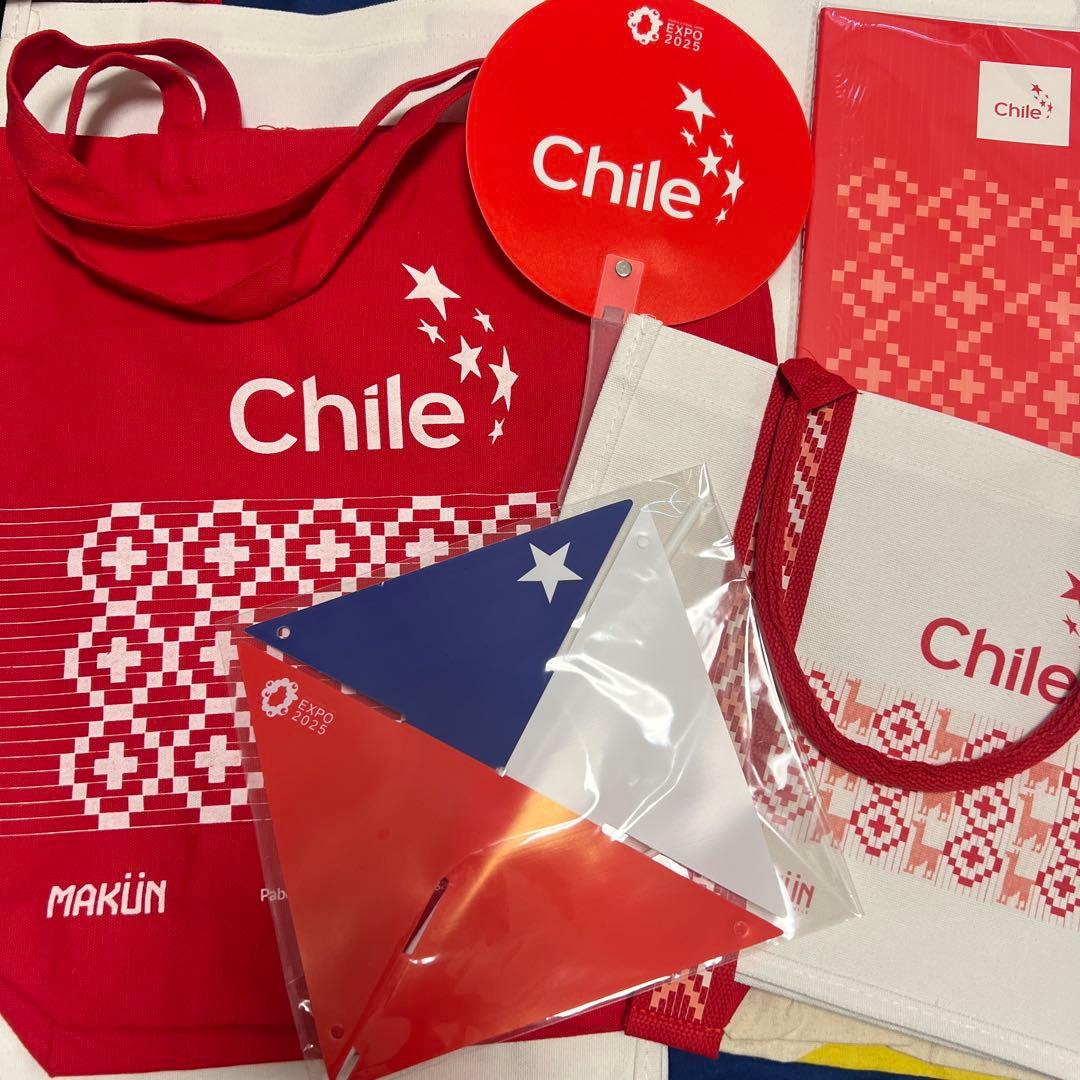 非売品EXPO チリ　トートバック2種類　ノート　風車　うちわもセット