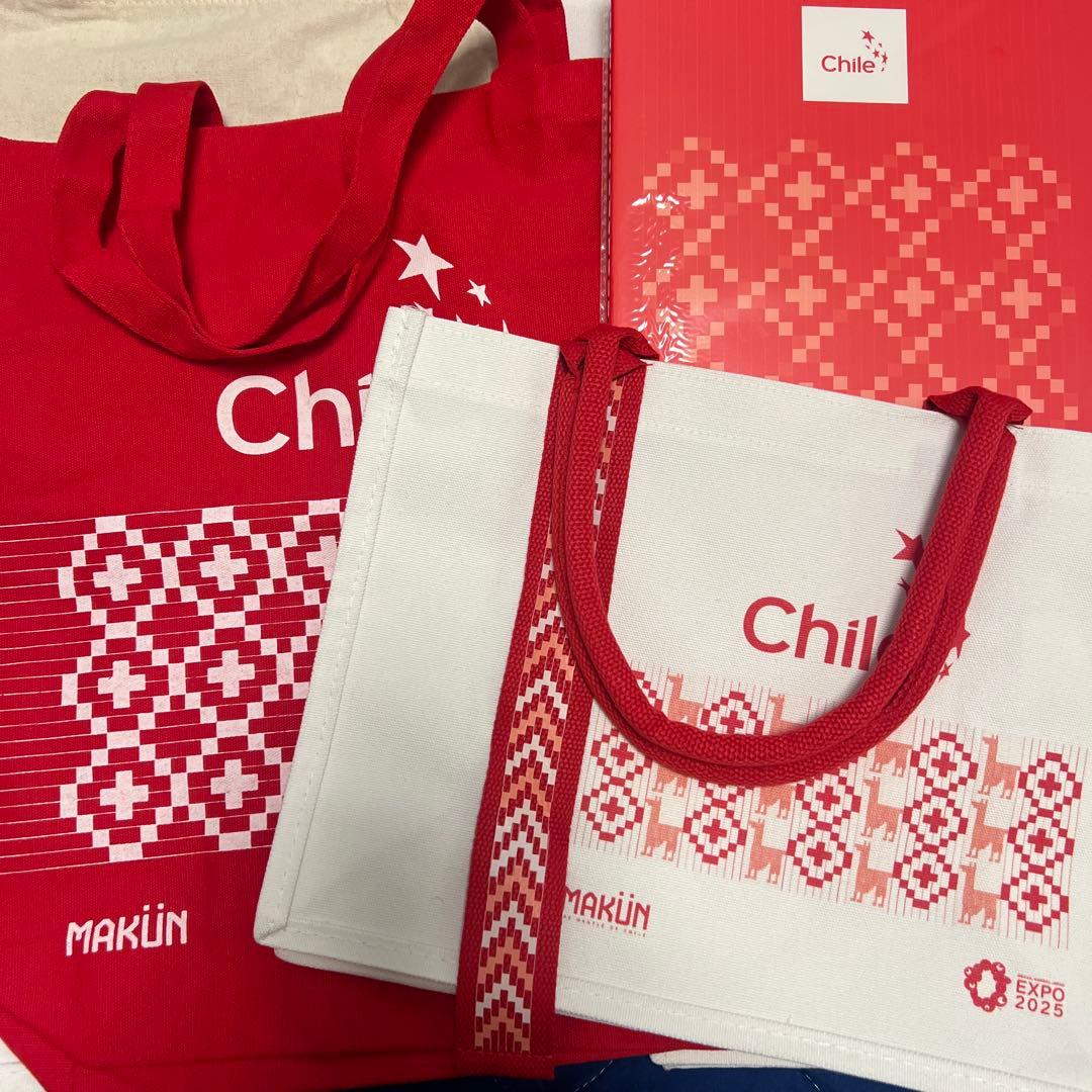 非売品EXPO チリ　トートバック2種類　ノート　風車　うちわもセット