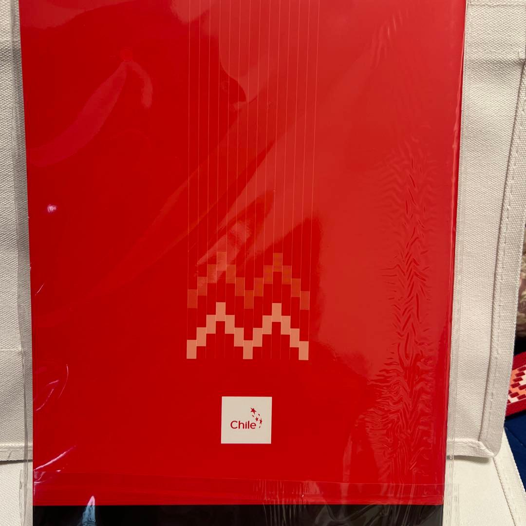 非売品EXPO チリ　トートバック2種類　ノート　風車　うちわもセット