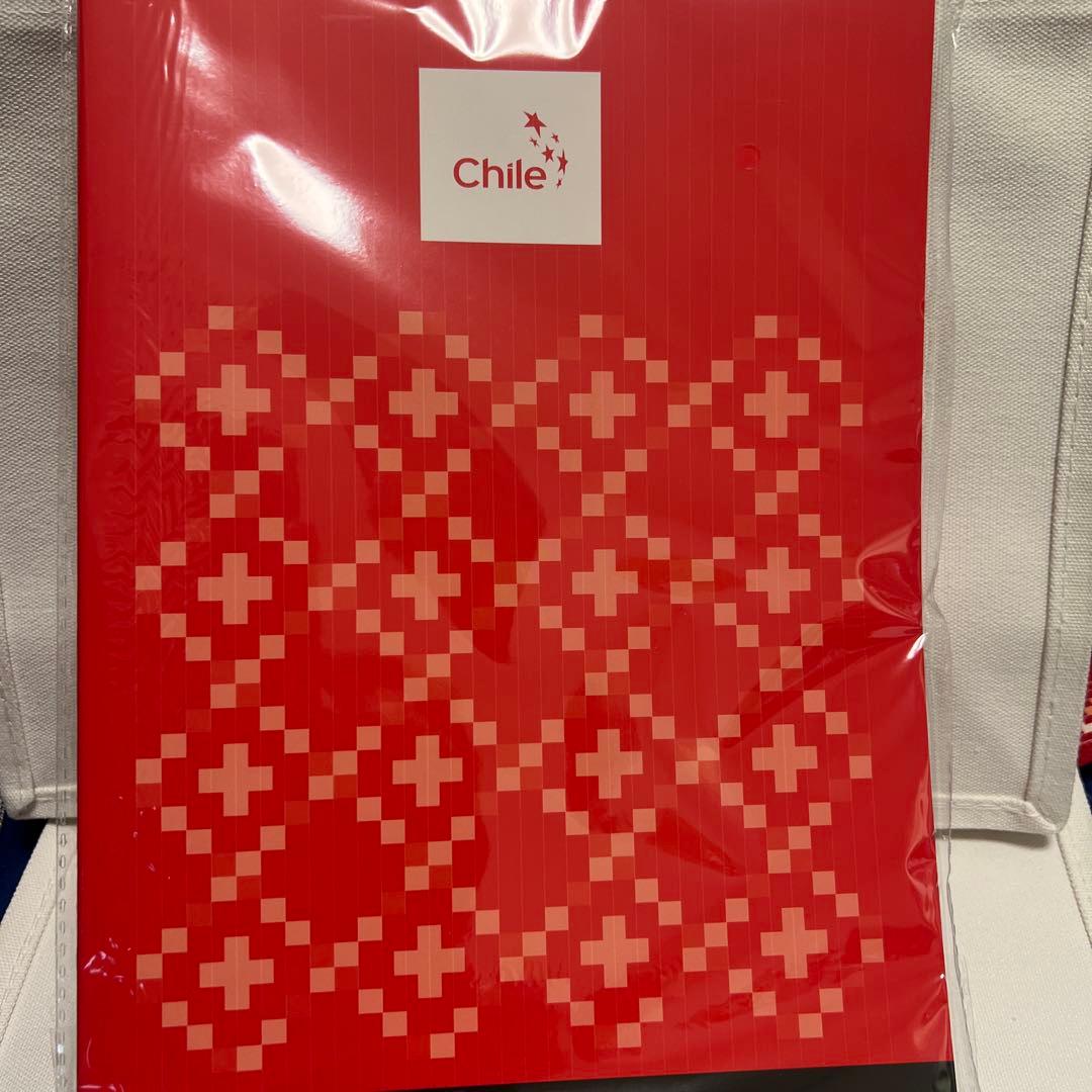 非売品EXPO チリ　トートバック2種類　ノート　風車　うちわもセット