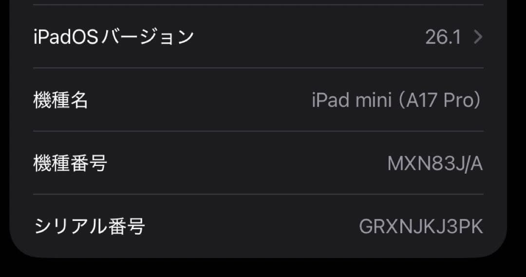 ひ*こ様 Apple iPad mini (A17 Pro)