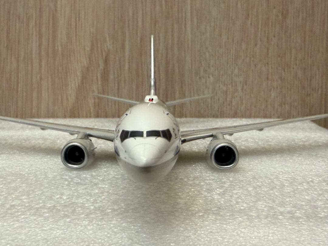 そ*ょ様 ANA 全日空 B737-800 1/200モデル