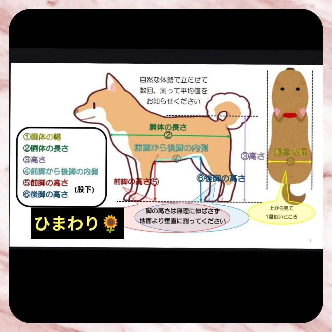 ワンちゃん4輪　リハビリ　食事補助　犬用車椅子　介護補助　犬の歩行器