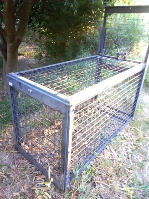 猿　サル用の箱罠　１２５センチ×７０センチ×５９センチ　直接引き取り限定