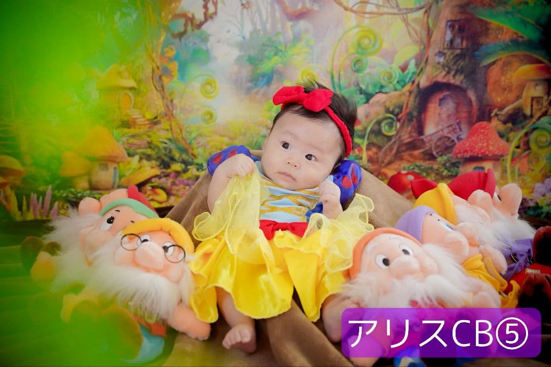 背景布【秋XE】サンプル80×120　ペット撮影用ブース　十五夜　お月見　宇宙