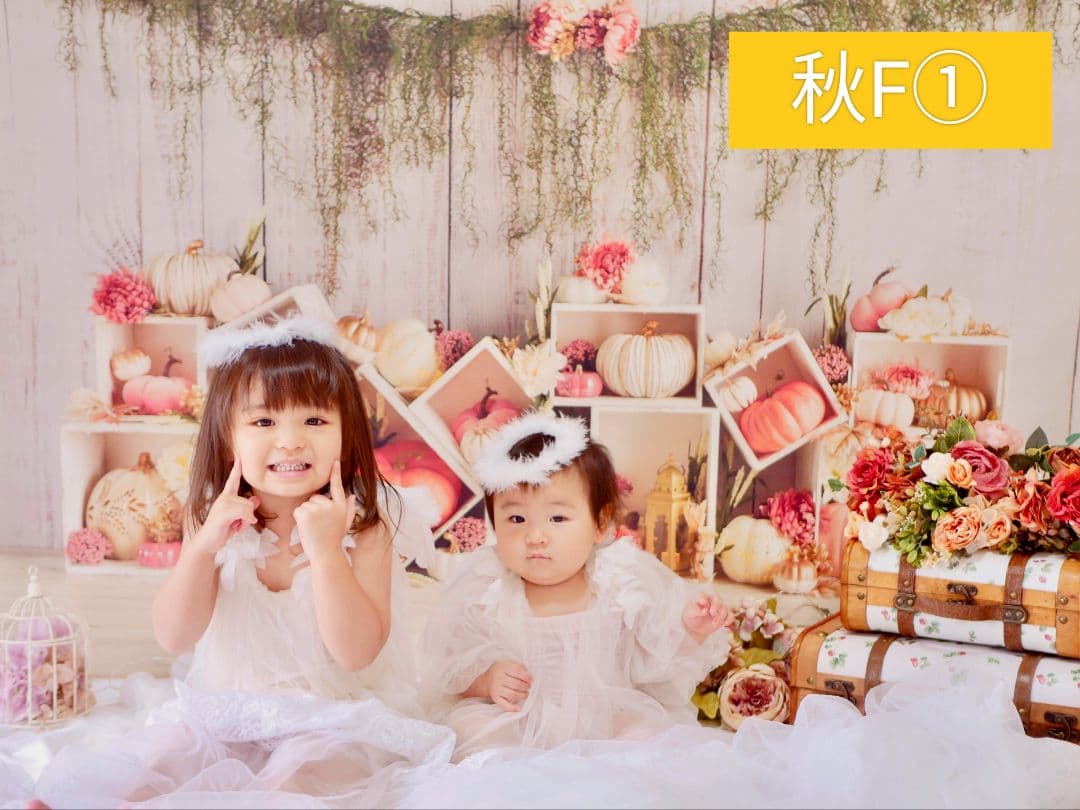 背景布【秋XE】サンプル80×120　ペット撮影用ブース　十五夜　お月見　宇宙