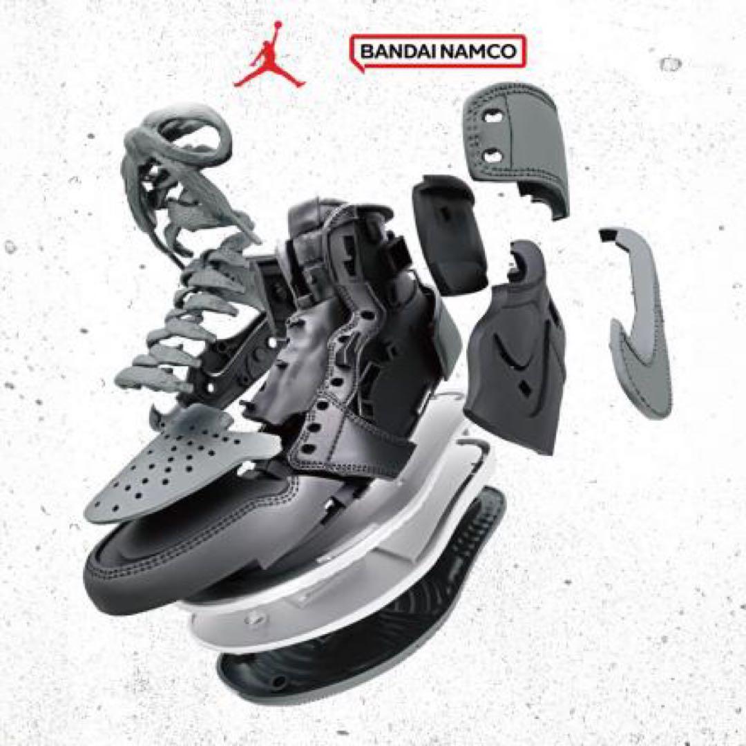 【新品未開封】NIKE AIR JORDAN 　MODEL KIT