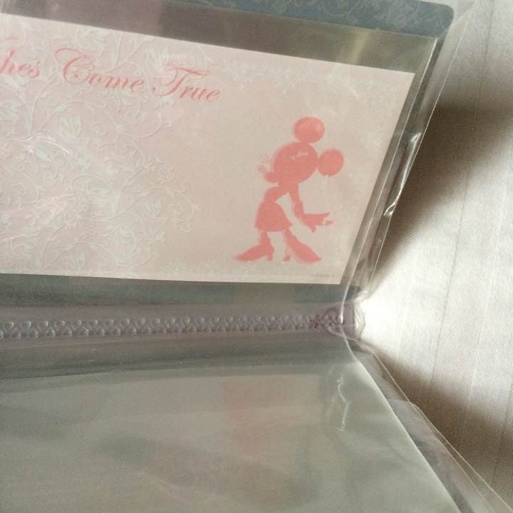 新品★ドラマティックディズニーシー☆カードケース★ミニー