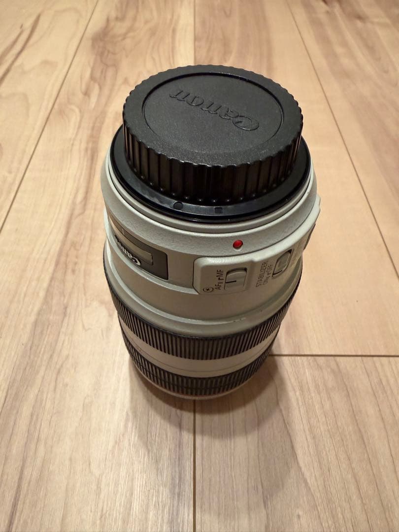 【ジャンク品】Canon EF 70-300mm f/4-5.6L IS USM