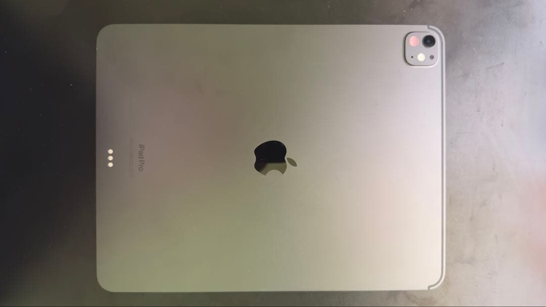 ぶ*り様 iPad Pro(M4) 13インチ 1TB WiFi