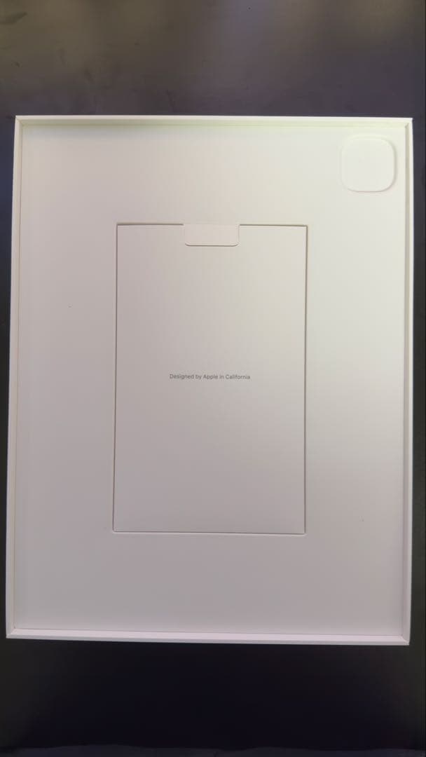 ぶ*り様 iPad Pro(M4) 13インチ 1TB WiFi