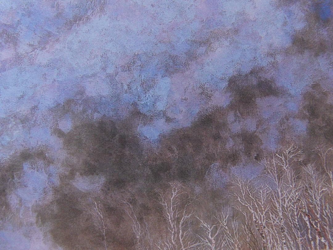 飛澤行雄、【富士】、希少な額装用画集より、新品額装付