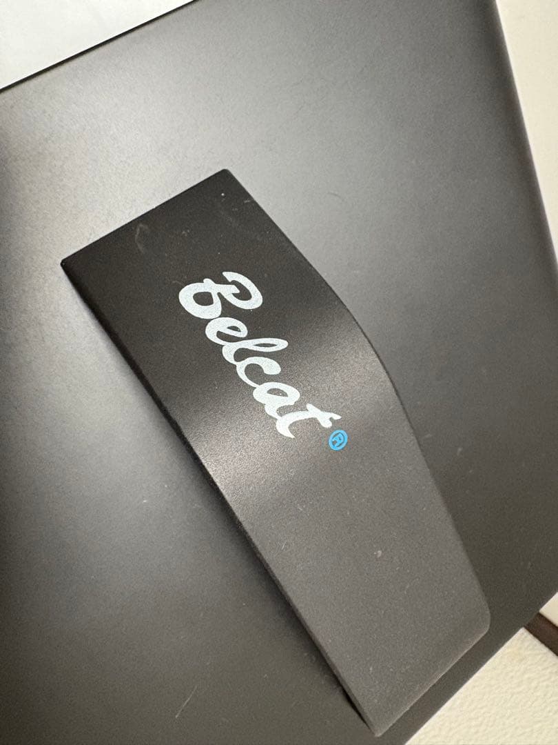 Belcat ベルキャット BWPA-30W スピーカー マイク付き PAセット