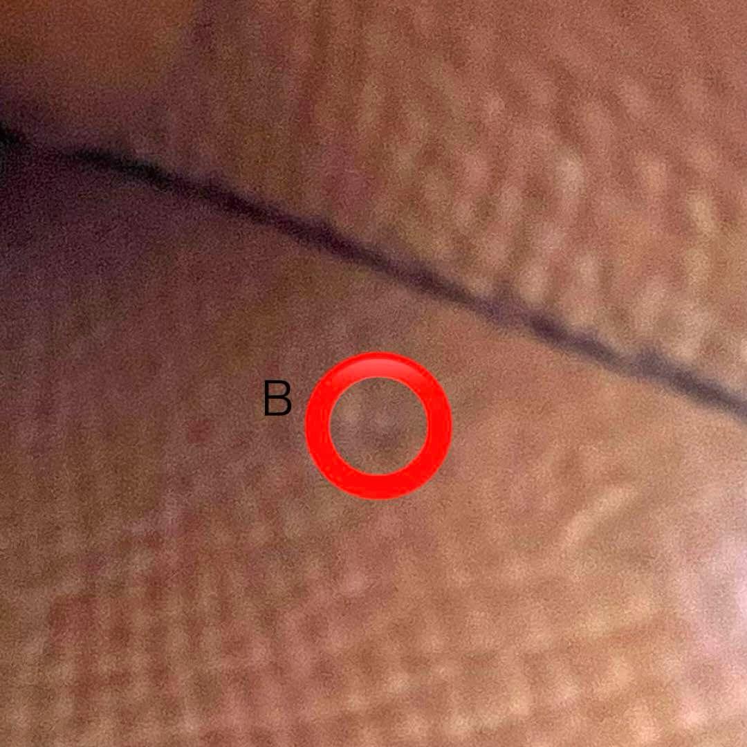 HERMÈS エルメス カルヴィデュオ ゴールド B刻印