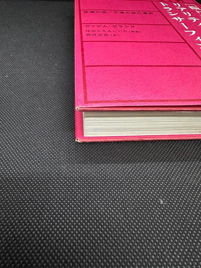 振り子の法則 リアリティ・トランサーフィン