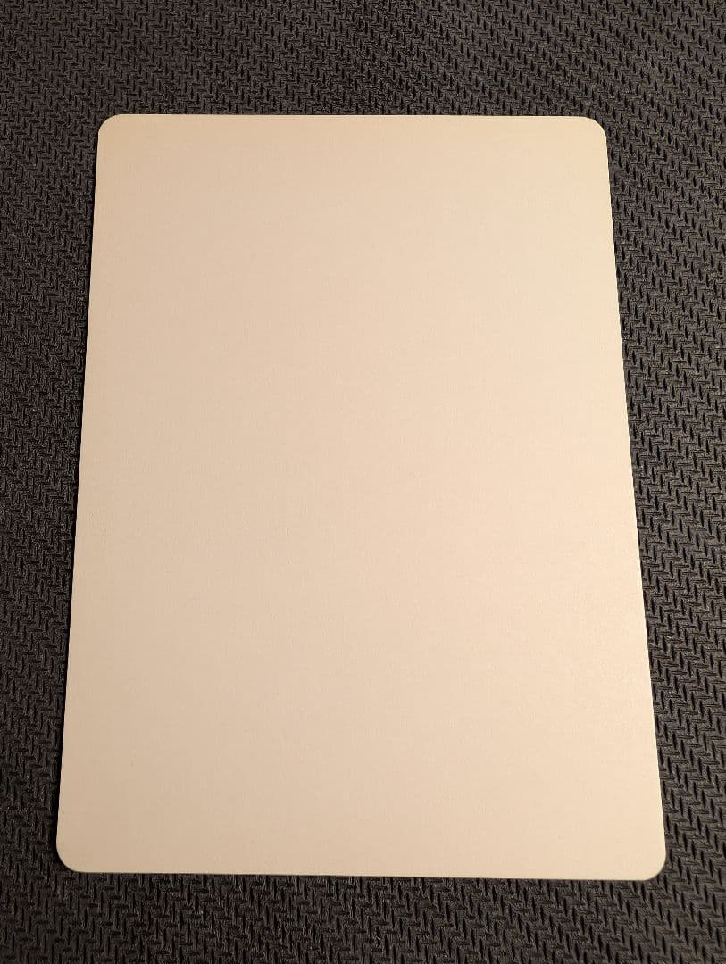 MTG　真理の声/Voice of Truth　英語版アーティストプルーフ