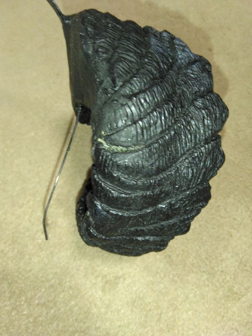 MALICIOUS.X ツノ カチューシャ seep