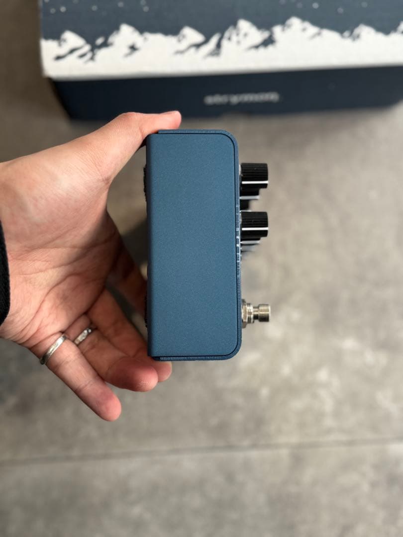 ギター strymon Night sky